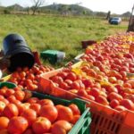 La Región de Murcia sigue siendo la comunidad menos productiva de España