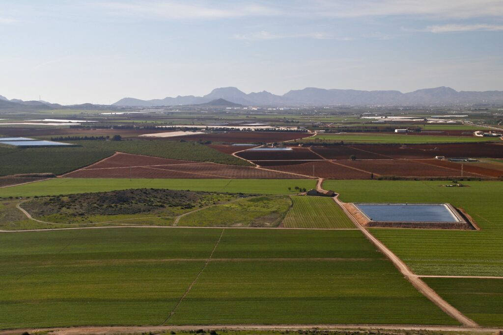 La CARM sabe desde 2020 de las altas concentraciones de metales pesados en suelos agrícolas del Campo de Cartagena