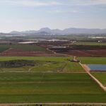 La CARM sabe desde 2020 de las altas concentraciones de metales pesados en suelos agrícolas del Campo de Cartagena