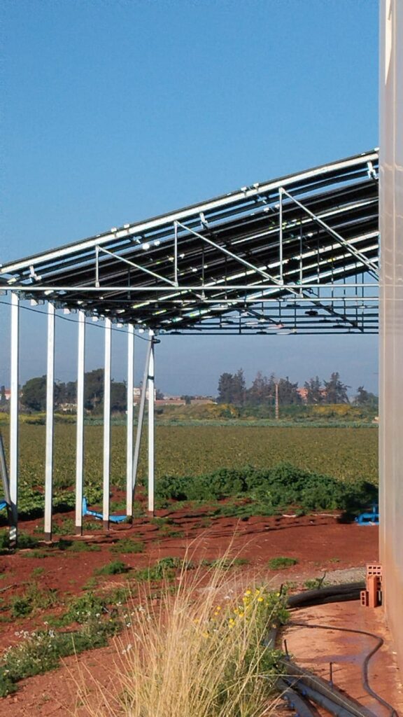 La UPCT impulsa un sistema agrovoltaico que combina producción agrícola y energía limpia para hacer frente al cambio climático