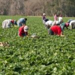 La Región de Murcia crece, pero no corrige sus debilidades: más pobreza, salarios estancados y una economía que pierde impulso