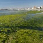 El Mar Menor pide penas más severas para sus agresores