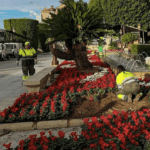 Murcia gasta más de 1,1 millones en flores mientras los barrios siguen esperando aceras, sombra y colegios dignos