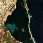 La mancha blanca del Mar Menor destruye la vegetación submarina y reduce la diversidad de peces